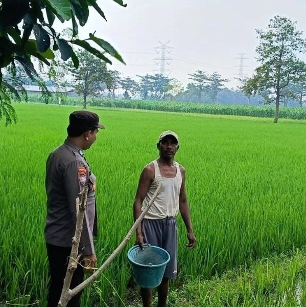 Perkuat Ketahanan Pangan, Bhabinkamtibmas Sambangi Lahan Pertanian Desa Kebotohan