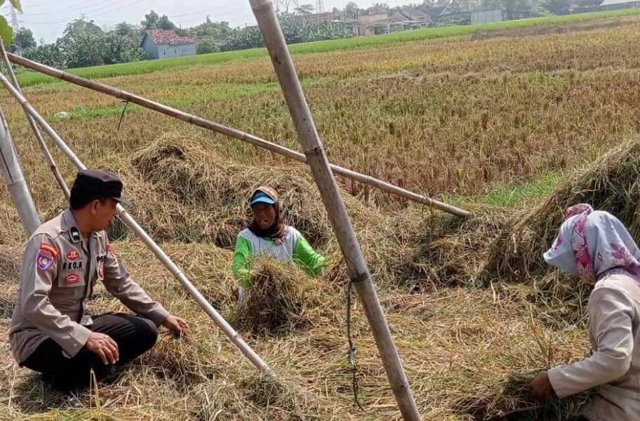 Bhabinkamtibmas Sambangi Petani Desa Wonosari, Polsek Keboncandi Dukung Swasembada Pangan