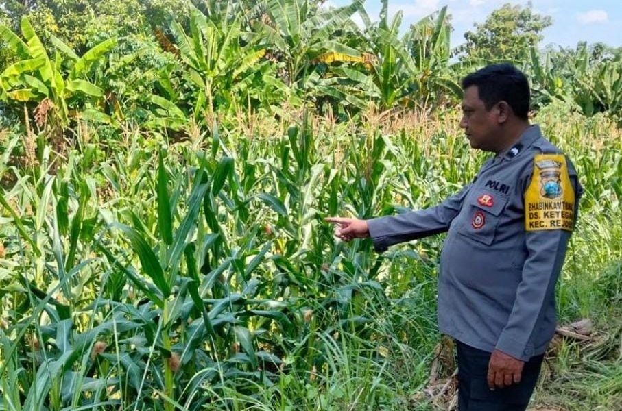 Bhabinkamtibmas Ketegan Sambangi Petani, Dukung Ketahanan Pangan